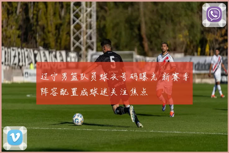 辽宁男篮队员球衣号码曝光 新赛季阵容配置成球迷关注焦点