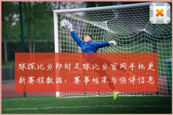 球探比分即时足球比分官网手机更新赛程数据，赛事结果与伤停信息同步呈现